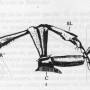 loi_de_bateson_1906.jpg