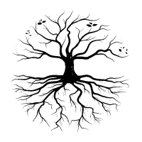 clipart de racines PNG Conçu par Boseart à partir de https://fr.pngtree.com/freepng/tree-root-hand-drawing_5057253.html?sol=downref&id=bef