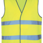 giletjaune.png